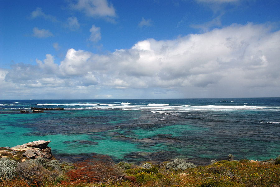 Snorkeling beaches on Rottnest island