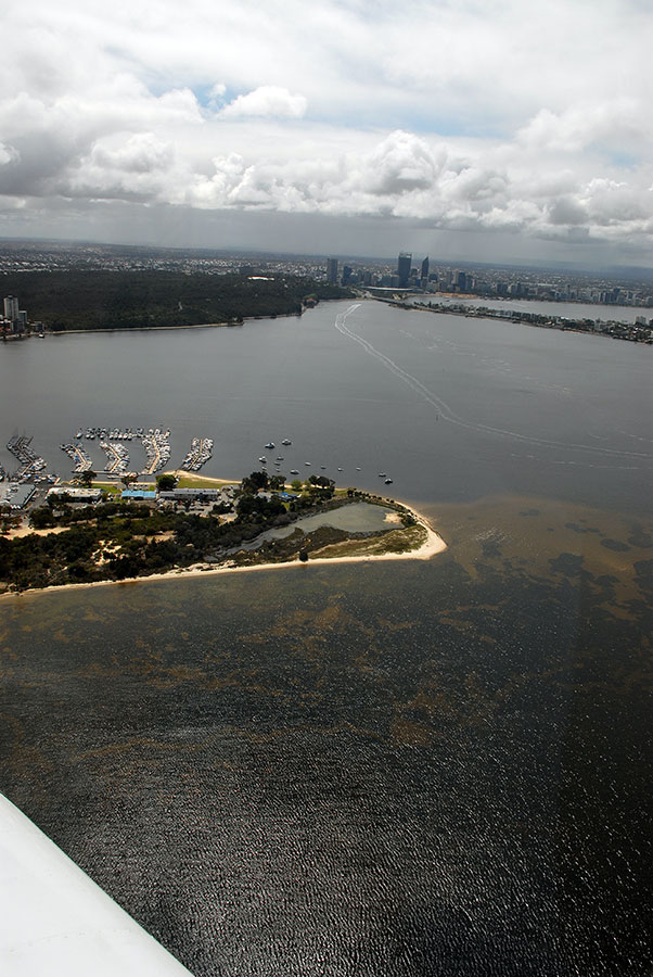 Scenic flight from Cottesloe